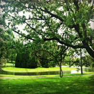 Crapo Lake Starker View