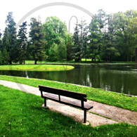 Crapo Bench by Lake Starker