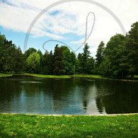 Crapo Lake Starker and Island