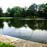 Lake Starker Edge View