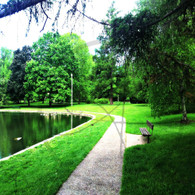 Lake Starker Geese Bench Path