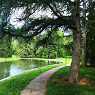 Path Around Lake Starker