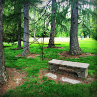 Crapo Park Stone Bench