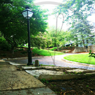 Snake Alley Curve and Lamppost 5x7