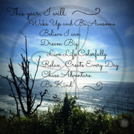 This Year I Will