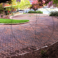 Snake Alley S Curve Spring