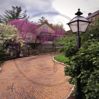 Snake Alley Green House Spring