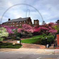 Snake Alley Exit Spring