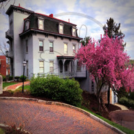 Garrett-Phelps House Spring