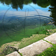 Ripple in Lake Starker 8x10