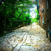 Cobblestone Alley Bottom