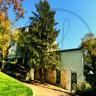 Snake Alley Curve and Phelps House