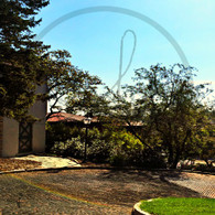 Snake Alley Curve Around Phelps House