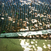 Snake Alley Sunlight on Bricks