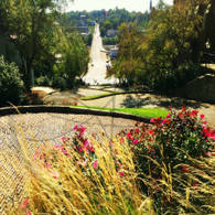 Snake Alley Curves Down to Sixth St