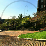 Snake Alley Entrance Churches