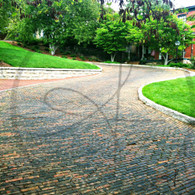 Snake Alley Bricks and Treeline