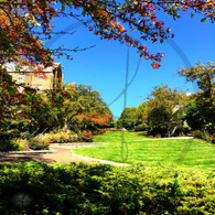 Snake Alley Bottom to the Top