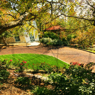 Snake Alley Curvy View