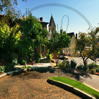 Snake Alley Full Curve Down