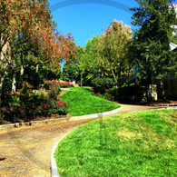 Snake Alley Autumn Look Up