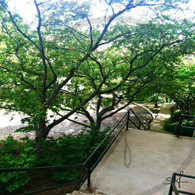 Snake Alley and Staircase