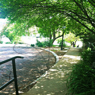 Snake Alley and Walkway