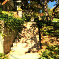 Snake Alley Greenery and Stairs