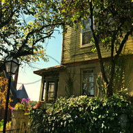 Snake Alley Green House