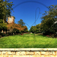 Snake Alley Grassy Knoll