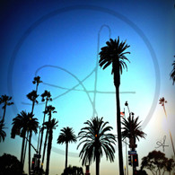 Palm Trees on Ocean Ave and Broadway