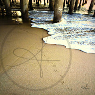 Bird and Prints on Sand Under Pier