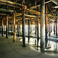 Under Pier Poles and Sunlight