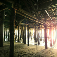 Wooden Pier Poles at Shoreline