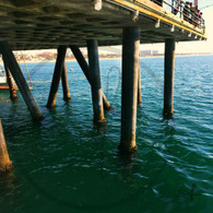 Under Edge of Pier