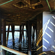 A Look Under the Pier
