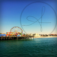 Ferris Wheel and Bird