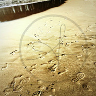 Footprint tracks on Sand