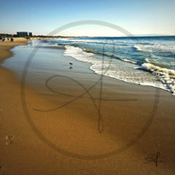 Pacific Shoreline