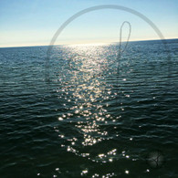 Sun Light on Pacific Ocean