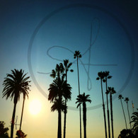 Santa Monica Sundown and Palm Trees