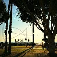 Santa Monica View Pier from Palisades Park
