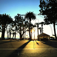Santa Monica Sunset on Ocean Ave