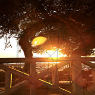 Sunset over Wooden Fence