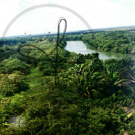 Belize River View