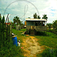 Belize Shack House