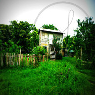 Belize Tiny House