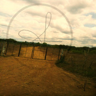 Belize Dirt Road Shut Gate