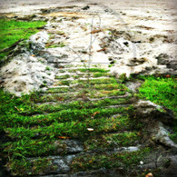 Sand Hill Marks in Grass