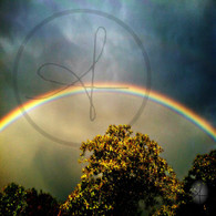 Copy of Belize Rainbow over Mango Tree